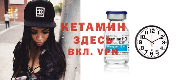 сатива Волоколамск