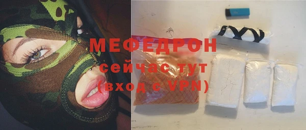 сатива Волоколамск