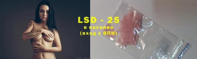 гидра Верея