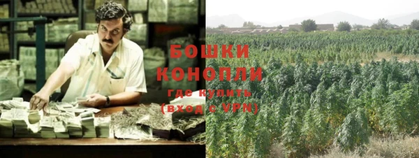 сатива Волоколамск