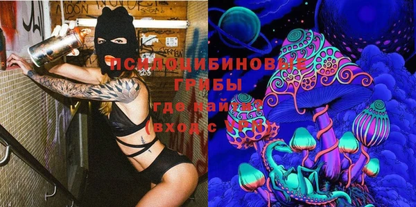 сатива Волоколамск
