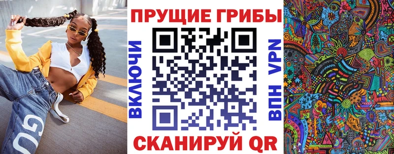 Псилоцибиновые грибы Cubensis  блэк спрут ссылка  Злынка 